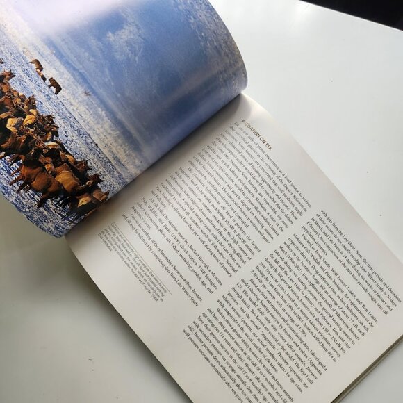 Yellowstone Wolves in the Wild by James Halfpenny Paperback Book 9781931832267 P - Picture 2 of 11